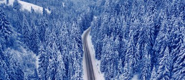 Green textured embossed plastic. Abstract background. Close-up.