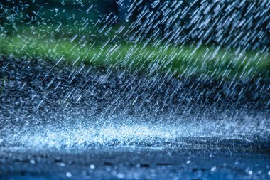 Raindrops fall on the asphalt. Deterioration of weather conditions. Precipitation, cooling.