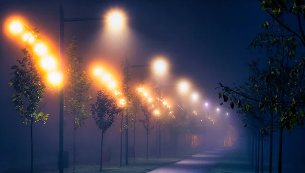 night city streets. Fog in the evening park. Urban landscape.