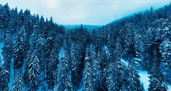 Snowy mountain road and forest, drone view. Snowy mountain road and forest, drone view. Wonderful winter landscape.