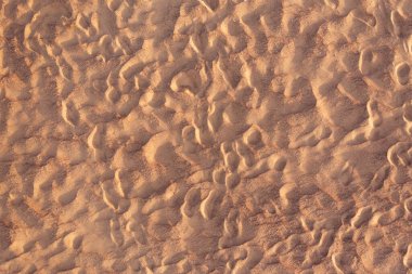 sand on the beach texture, abstract natural background. View from above.