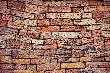 A wall made of natural stone, shell. Use of natural materials in construction Abstract natural background or texture