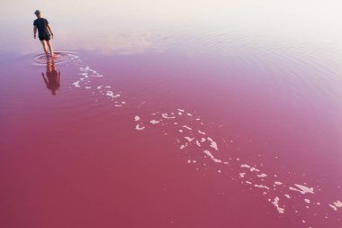 A lonely figure of a man against the background of a huge pink lake. Drone view. The concept of loneliness, alienation, active tourism.