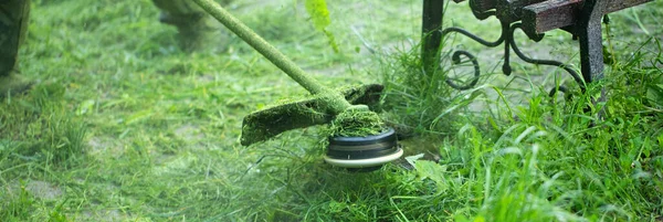 stock image A chainsaw mows the grass. Cleaning on site. Gardening. Selective focus close-up.