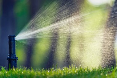 Automatic lawn watering system, watering the lawn in the backyard.