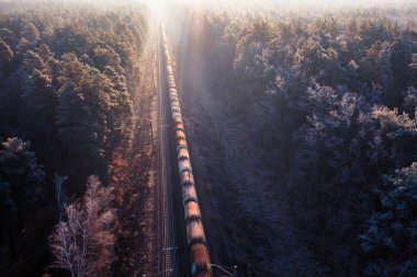 Gün doğumunda sisli bir sonbahar ormanından yük vagonları ufka doğru uzanıyor. Güneşin altın ışınları ağaçları aydınlatır ve büyülü bir atmosfer yaratır. A