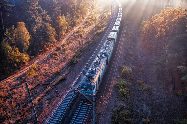 열차가 안개가 나무들 사이를 엿보며 따뜻하고 가을철 공기는 장면에 참으로 — 스톡 사진
