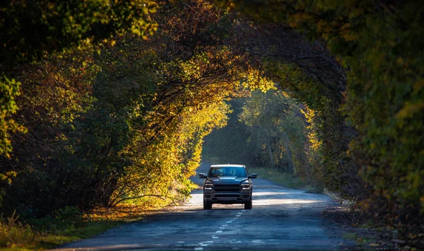 Sonbahar Yeşilliklerinin Güzelliğini Tecrübe Edin Road Aracınızı Manzaralı Bir Kır — Stok fotoğraf