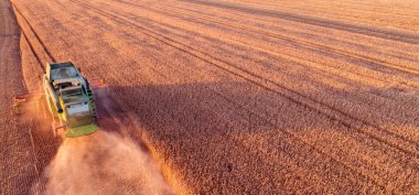 Hassas Tarım: Drone 's View of a Combine in Action Buğday Toplama