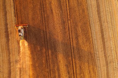 Yukarıdan: Buğday Tarlalarında Sıkı Çalışan Bir Birleştirmenin Görkemli Hava Çekimi