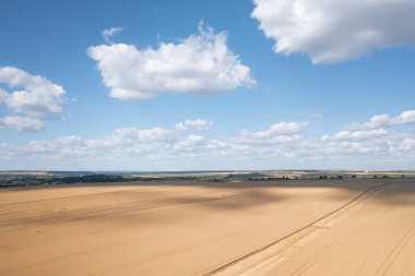 İnsansız hava aracının bakış açısı, buğday ekinlerini hasat etme ve toplama sürecine benzersiz bir bakış açısı sağlıyor.