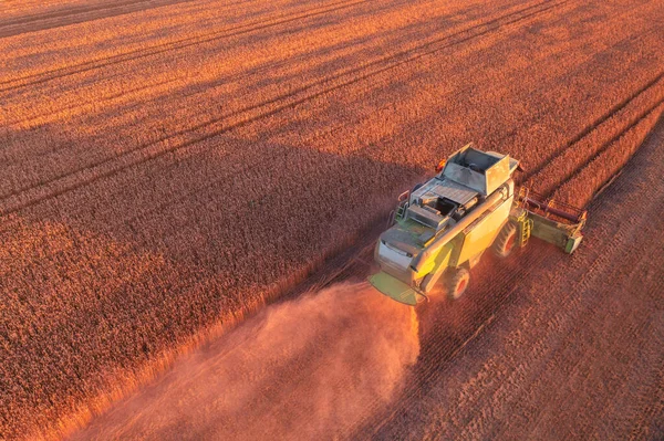 见证收获 小麦采摘组合行动中令人振奋的无人机射击 — 图库照片