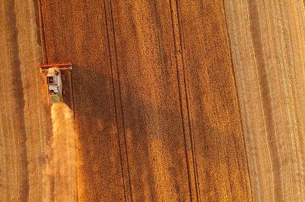 Shora Velkolepý Letecký Snímek Zkombinovat Tvrdé Práce Pšeničných Polích — Stock fotografie