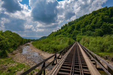 Doğanın Geçişi: Majestic Dağlarındaki Ahşap Demiryolu Köprüsü