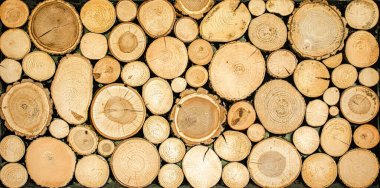 Doğanın desenleri: Çapraz Kesiklerdeki Dekoratif Ahşap Dokular