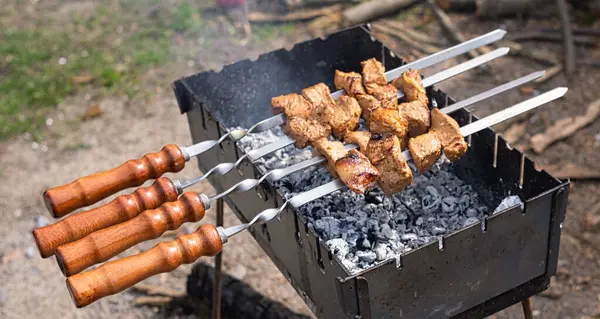 Grill Master\'s Delight: Perfecting Skewers on the Mangal