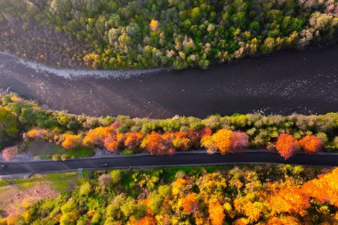 Yükseltilmiş Huzur: Dağ Nehri, Yol ve Sonbahar Renkleri