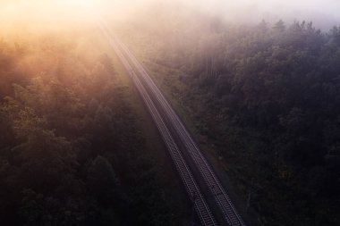 Gökyüzünün tuvalinden: Sonbahar Ormanı 'nın Soyut Güzelliğini Ortaya Çıkarma
