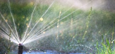  Aqua Senfoni: Otomatik Fıskiye Çimenlikte Çalışıyor