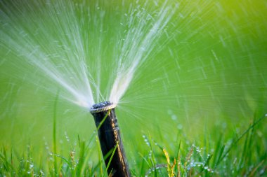 Sabah Depremi: Otomatik fıskiyeyle yenilenen çimenler