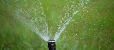 Doğanın Duşu: Otomatik Fıskiye Bahçeyi Sardı