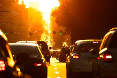 Rush Hour Haze: Dawn 'ın Seçici Odak Noktasında Trafik Sıkışıklığı
