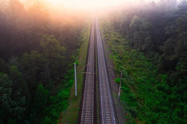 穿越迷雾森林的火车之旅 日出时的空中视角 — 图库照片