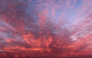 Sunrise 'ın Boyalı Gökyüzü: Parlak Portakal Örtüsü