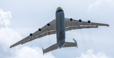 Yükselen Zarafet: Parlak Mavi Suları olan Bir Yaz Ormanı Gölü 'nün Korkutucu Manzarası