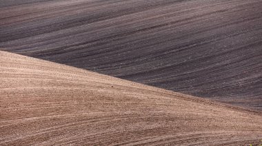 Tarımsal Güzellik: Tarımsal Tarlalar Tepeleri süslüyor