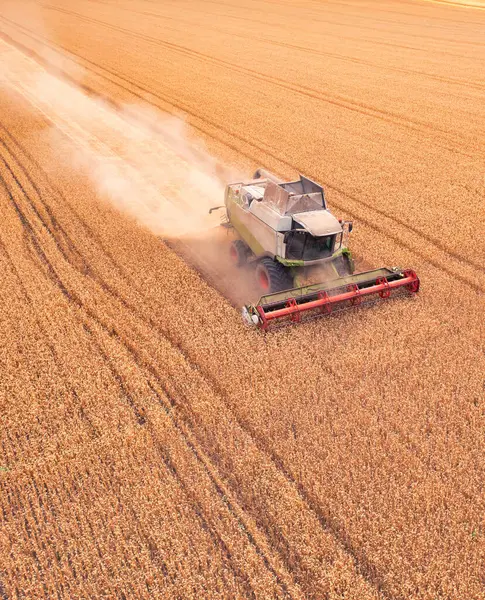 From the Skies to the Fields: Wheat Harvest with a Combine