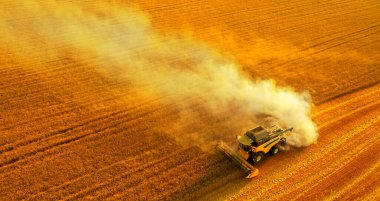 Hasat Senfonisi: Buğday Dalgaları Üzerinde Birleşen Hava Dansı
