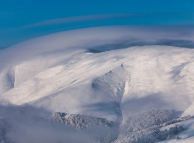 Sonbahar Senfonisi: Dağlık Ormanda Şelale Uyumu