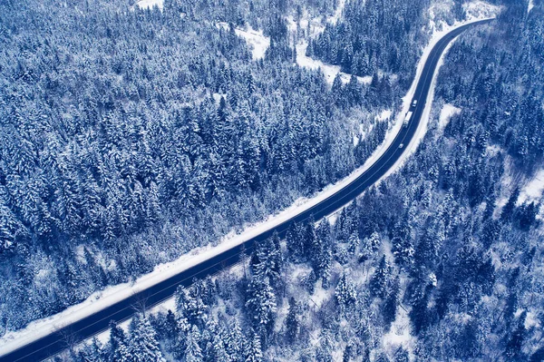 Forest Frost: Aerial Perspectives of a Winter Road Less Traveled