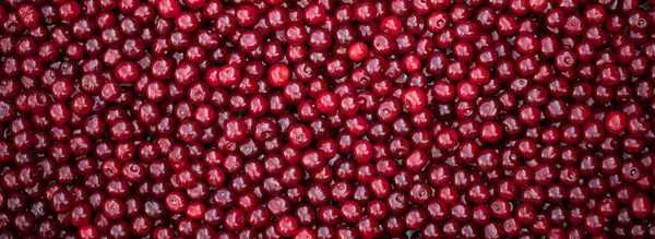 Summer Bounty: Exploring the Rich Texture of Cherry Berries