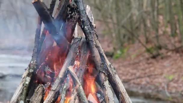 Fireside Fantasy Lagerfeuer Entzündet Und Schafft Herbstliche Atmosphäre — Stockvideo