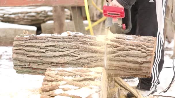 Sawdust Symphony Harmony Wood Being Hewn — Stock Video
