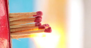 Gurme Inferno: Peynir Kafası Damak Tadına Işıklar