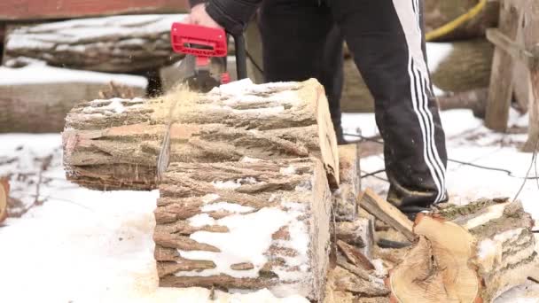 Chainsaw Chronicles Unraveling Mysteries Log Cutting Mastery — Stock Video