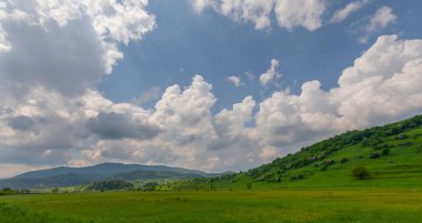 Canlı Yeşillik Altında Yaz Tepeleri