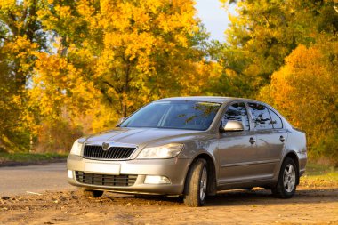 Sonbahar Macerası: Çarpıcı Sonbahar Manzarasının Arkaplanına Karşı Araba