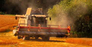 Altın Ödül: Birleşmiş Buğday Hasadı
