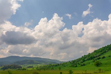 Summer 's Palette: Gökyüzüne karşı canlı yeşil tepeler