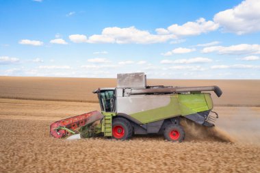 Altın Tarlaları: Buğday Ürünlerinin Birleştirilmesi