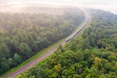 Sis Giden Yol: Sisli Ormanda Yanan Bir Yol Treni