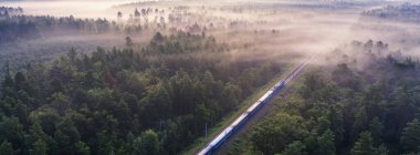Fısıldayan Raylar: Enigmatik Ormanda Sis Giden Tren