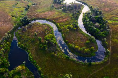 Yaşam Kurdelesi: Sarmal Nehrin Akışı 'nın Genel Bakış Alanı