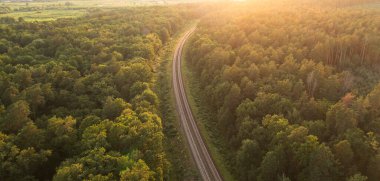 Orman Yolları: Yazın Kucaklaşması İçin Demiryolu Raylarını İzlemek