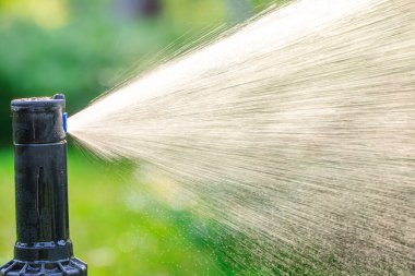 Oasis Oasis: Çiçekli Bahçenin Susuzluğunu Söndürüyor