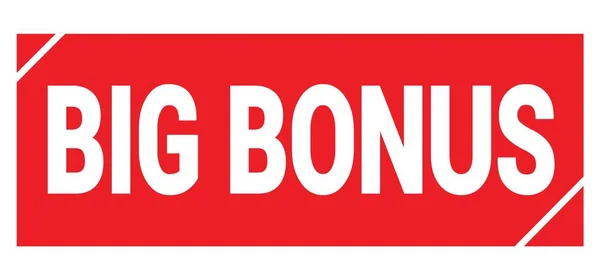 Big Bonus Text Written Red Grungy Stamp Sign — Stok Foto
